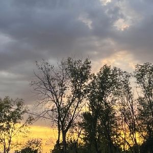 Meet your Posher, Abbie